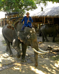 ทัวร์เกาะสมุย_SamuiIsland_CityTour_18